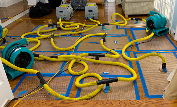 Professional Crawl Space Water Removal technician working in Fairview, CA